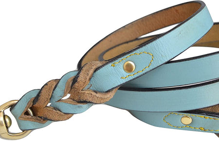 Heavy Duty Leather Braided Dog Leash, 6 Ft X 3/4 Inch, Turquoise with Beige Padded Handle