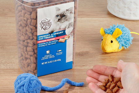 Crunchy & Creamy Cat Treats, Salmon Flavor, 16 Oz
