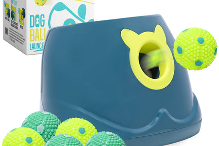Automatic Dog Ball Launcher - Dog Ball Fetch Machine, Ball Thrower for Dogs, for Small to Medium Sized Dogs, Great Interactive Dog Toy with 6 Latex Balls, Dual Power Supply