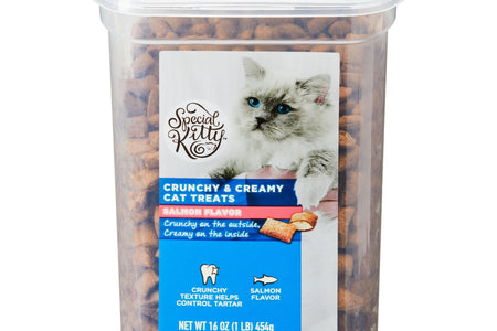 Crunchy & Creamy Cat Treats, Salmon Flavor, 16 Oz