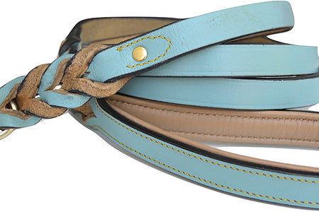 Heavy Duty Leather Braided Dog Leash, 6 Ft X 3/4 Inch, Turquoise with Beige Padded Handle