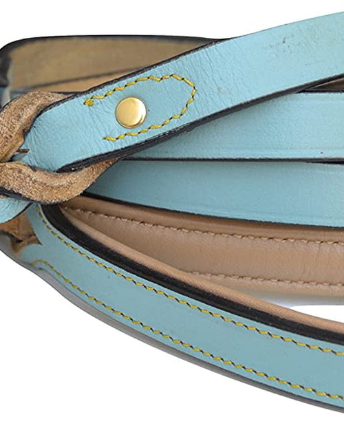 Load image into Gallery viewer, Heavy Duty Leather Braided Dog Leash, 6 Ft X 3/4 Inch, Turquoise with Beige Padded Handle
