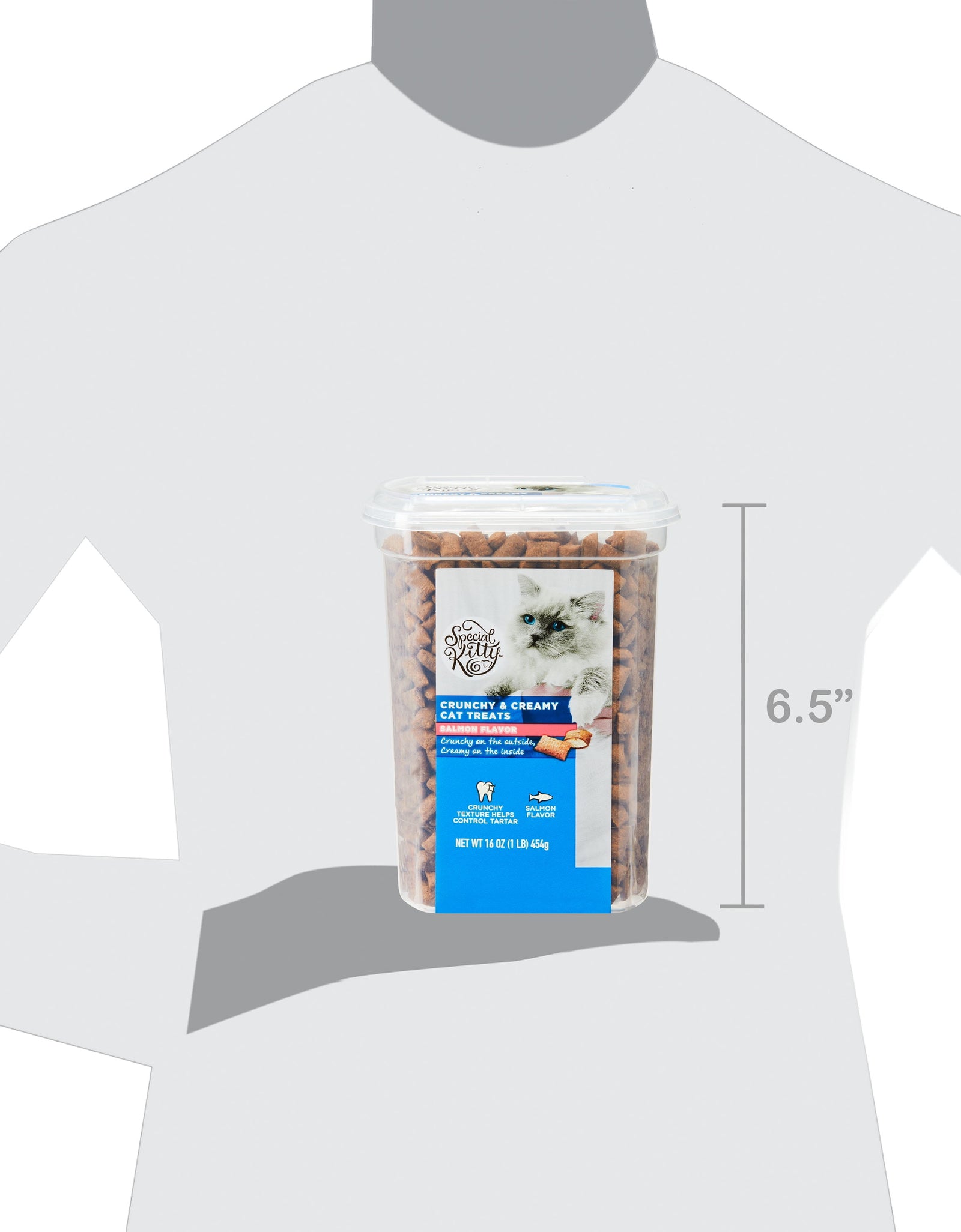 Crunchy & Creamy Cat Treats, Salmon Flavor, 16 Oz